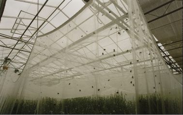 Het plastic Anti het Insect van de Tuinlandbouw Opleveren, Netto Installaties Antiinsect