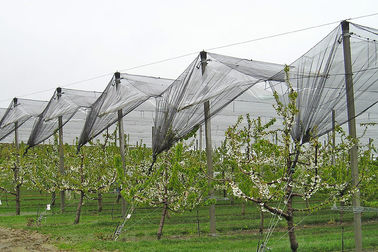 Landbouw Plastic Anti-Hail Netten met Anti Uv voor Fruit en Groente