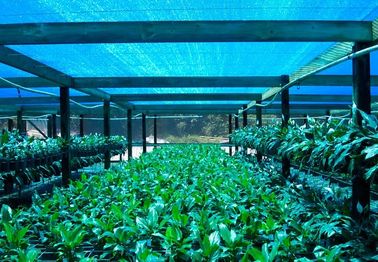 Netto, Landbouw de Schaduwdoek van de serreschaduw voor Bloemlandbouwbedrijf